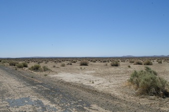 Enlarge photo 152