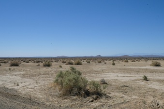 Enlarge photo 155