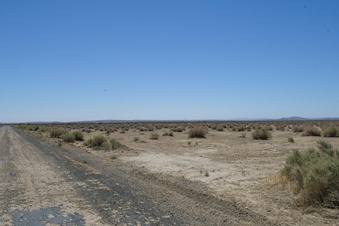 Enlarge photo 156