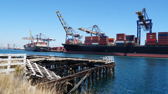 Enlarge photo 82