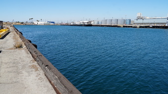 Enlarge photo 87