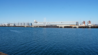 Enlarge photo 147