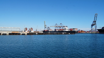 Enlarge photo 153