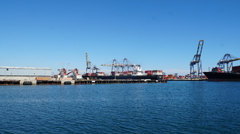 Enlarge photo 155