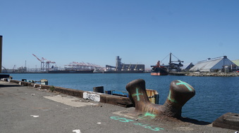 Enlarge photo 53
