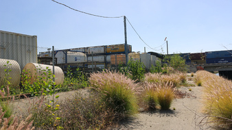 Enlarge photo 19