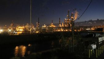 Enlarge photo 71