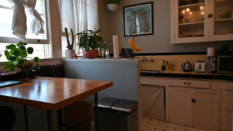 Enlarge photo 16