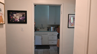 Enlarge photo 70