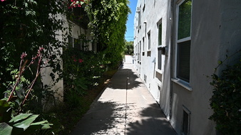 Enlarge photo 33