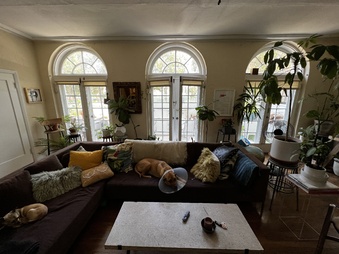 Enlarge photo 25