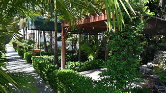Enlarge photo 27