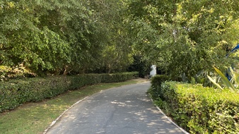 Enlarge photo 33