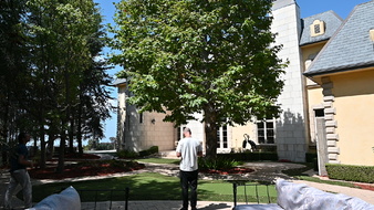 Enlarge photo 56