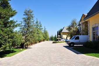 Enlarge photo 81