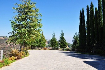 Enlarge photo 82