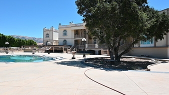 Enlarge photo 84