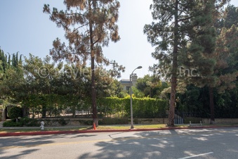 Enlarge photo 84