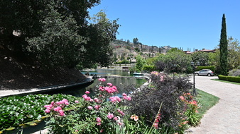 Enlarge photo 3