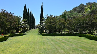 Enlarge photo 36
