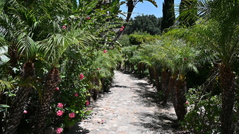Enlarge photo 38