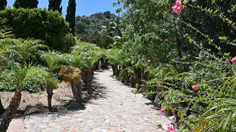 Enlarge photo 40