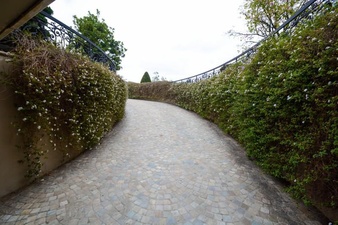 Enlarge photo 98