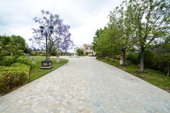 Enlarge photo 103