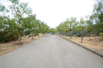 Enlarge photo 112