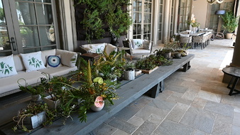 Enlarge photo 162