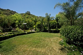 Enlarge photo 113