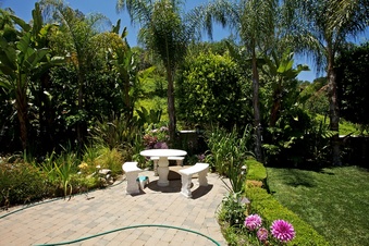 Enlarge photo 119