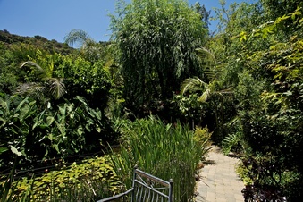 Enlarge photo 120