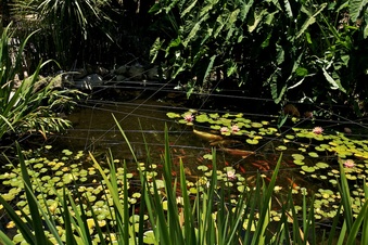 Enlarge photo 121