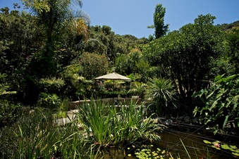 Enlarge photo 122
