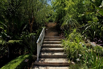Enlarge photo 124
