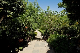 Enlarge photo 125