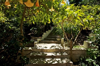 Enlarge photo 127
