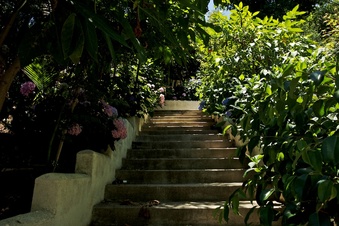 Enlarge photo 128