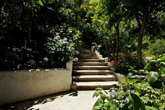 Enlarge photo 129