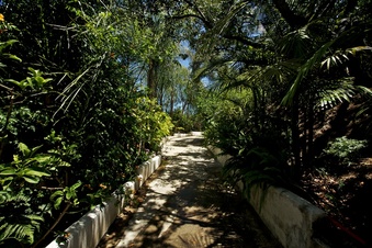 Enlarge photo 130