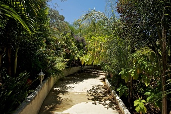 Enlarge photo 131