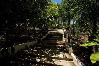 Enlarge photo 132
