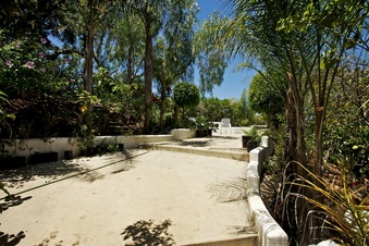 Enlarge photo 133