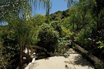 Enlarge photo 135