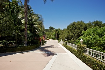 Enlarge photo 142