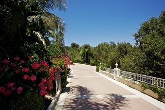 Enlarge photo 143