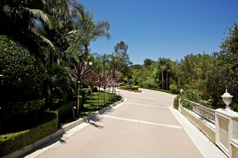 Enlarge photo 145