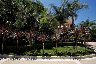 Enlarge photo 146