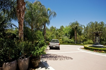 Enlarge photo 153